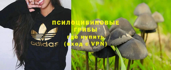 соль курить ск Горняк