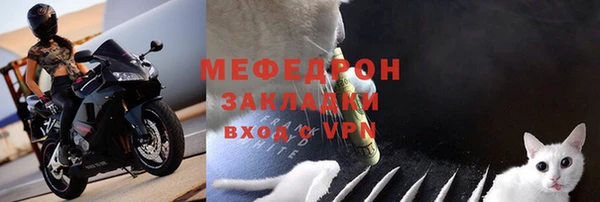 индика Сосновый Бор