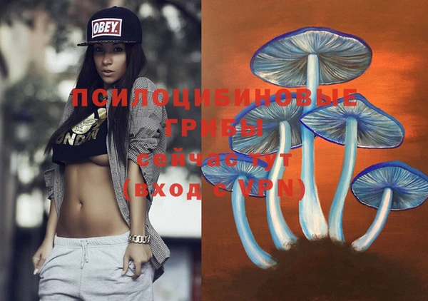 соль курить ск Горняк