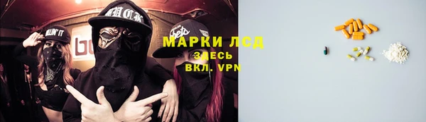 индика Сосновый Бор