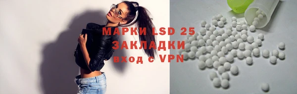 индика Сосновый Бор