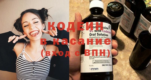 индика Сосновый Бор
