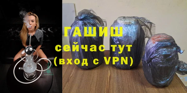 индика Сосновый Бор